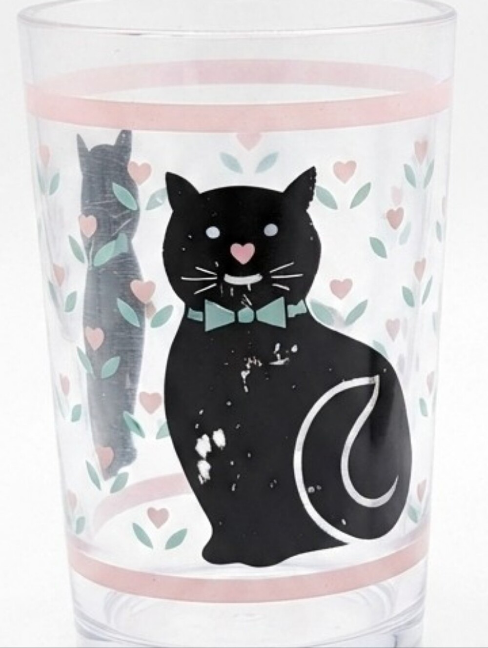 90s Retro Clear Acrylic Tumblers / Cups — Black Cat & Nature Loons Set of 2 (FC) - Picture 5 of 5